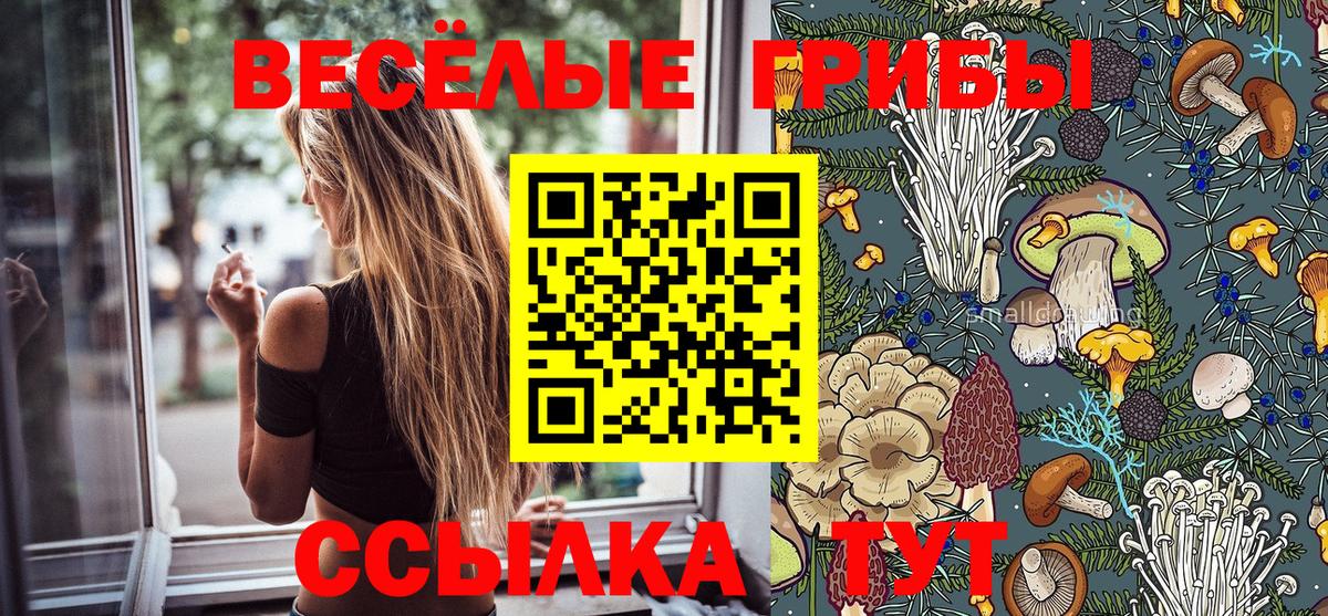 Псилоцибиновые грибы ЛСД Борзя