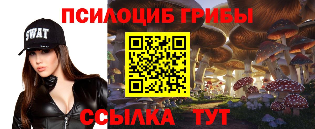 Псилоцибиновые грибы мухоморы  Галлюциногенные грибы мицелий  Борзя  Вход с VPN 